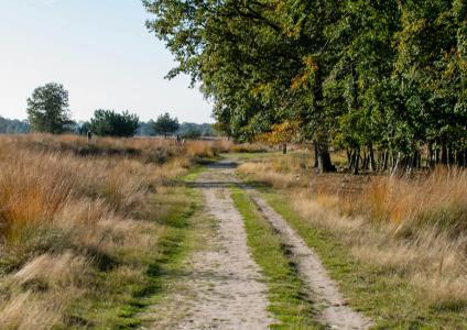 De mooiste fietsroutes in Drenthe voor 2025